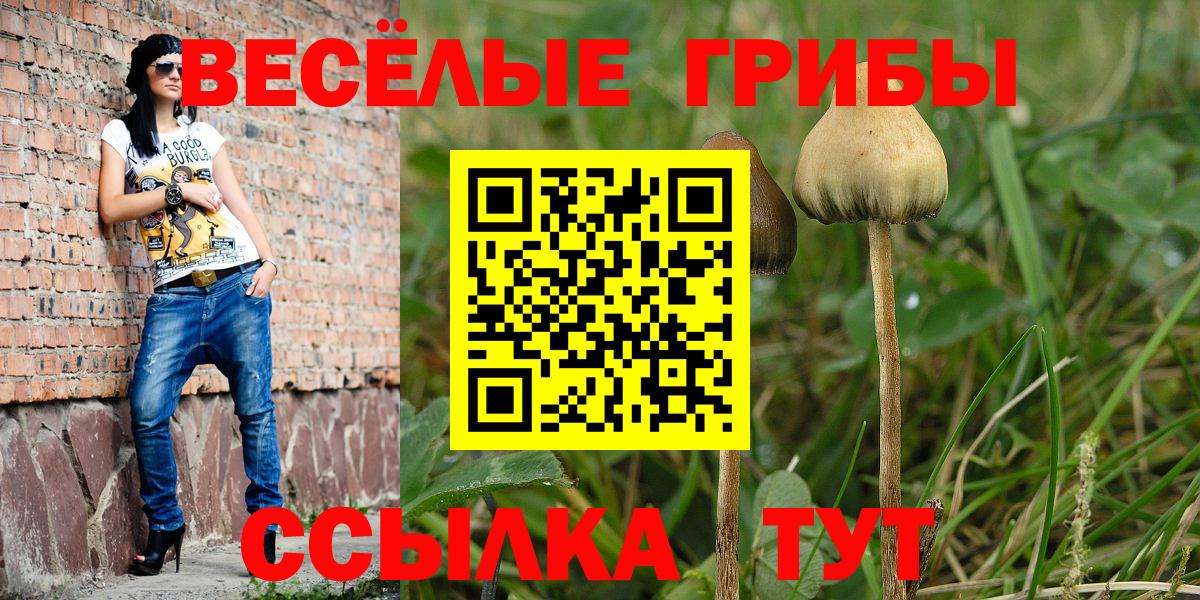 Меф Воркута