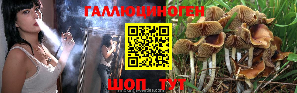 Псилоцибиновые грибы Psilocybe Воркута